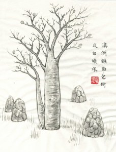 The boab tree and termite moulds drawn on rice paper