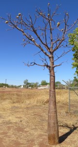 IMG_4691 - Copy (683x1280)