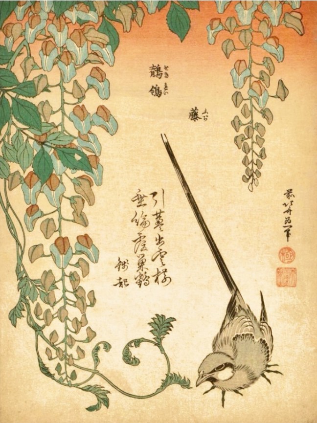 Katsushika Hokusai (葛飾 北斎) (c1760 - 1849), Wagtail and Wisteria (from' Small Flowers')