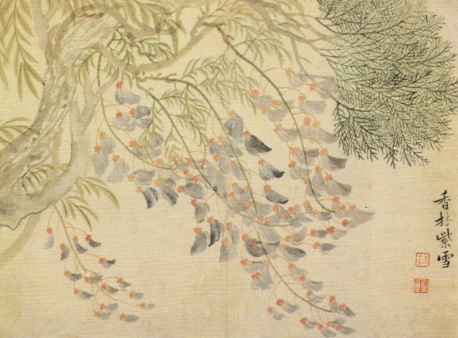 Yùn Nántián (惲南田) (1633-1690）Wisteria flowers, ink and Chinese watercolour on paper 
