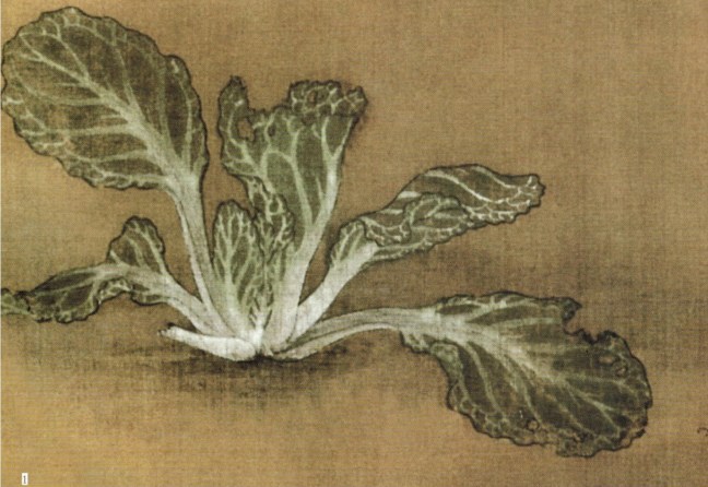 Anonymous, Bok choy, ink and watercolour on silk