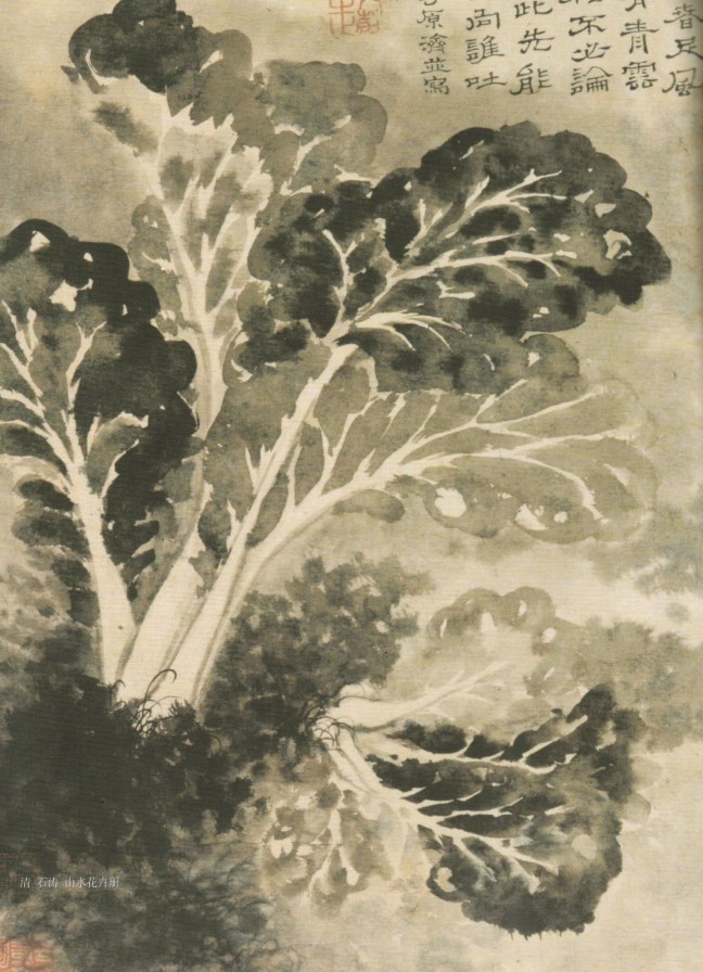 Shitao 石濤 (1642 – 1707), Bok choy, ink on paper