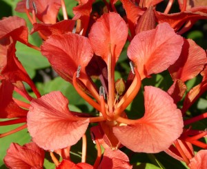 P1020811 (1280x1048)