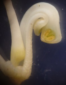 P1430976 (792x1024) (2)