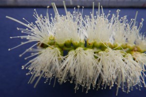 P1020641 (1024x685) (2)