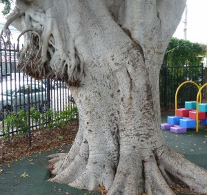 P1440166 - Copy (1024x969)