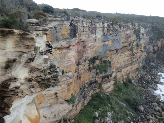 IMG_3478 (1024x768) (1024x768)