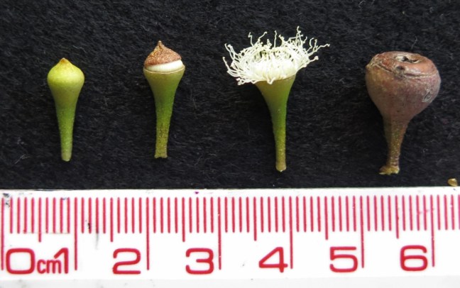 IMG_1342 - Copy (1024x643)