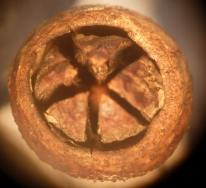 P1450648 - Copy - Copy (1024x936)