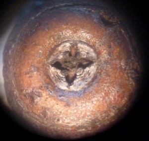 P1450864 - Copy (1024x972)