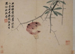 Shen Zhou (沈周)(1427-1509)