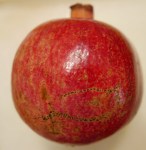 The size of the fruit is about 10 cm in diameter. The shape is quite spherical.