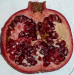 Vertical section of a fruit showing many chambers of carpels inside with numerous seeds. The placentation of the seeds in the upper chambers is parietal whereas those in the lower chamber is axile.